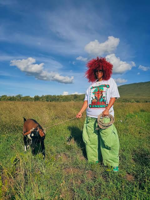 Zimbabwe Made It to Kelis's Top 5 African Countries