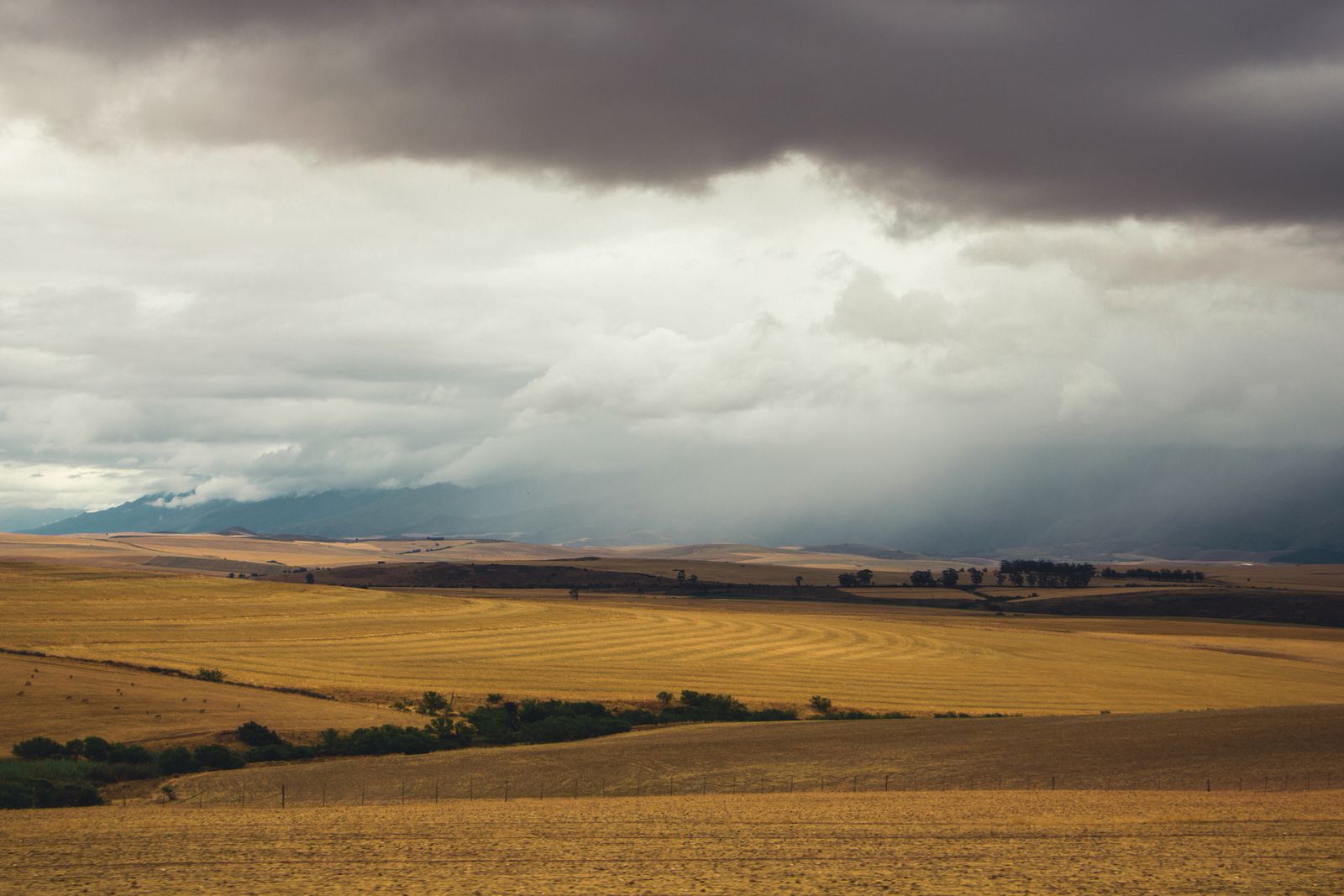 Thunderstorms, Lightning and Strong Winds Forecast Until Thursday, but MSD Says It's Not Planting Time
