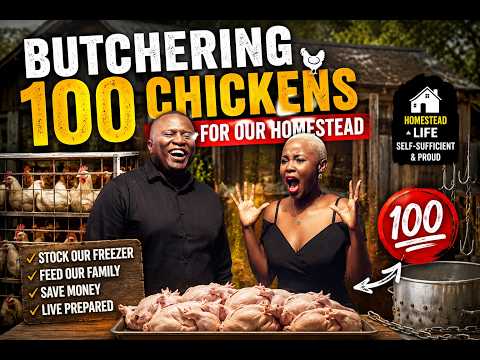 Latest: Processing 100 broiler Chickens for our Family for the year
