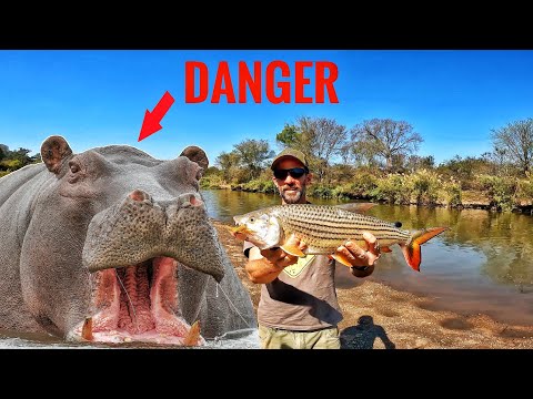 Latest: Fishing in the Wild With my Australian Friends