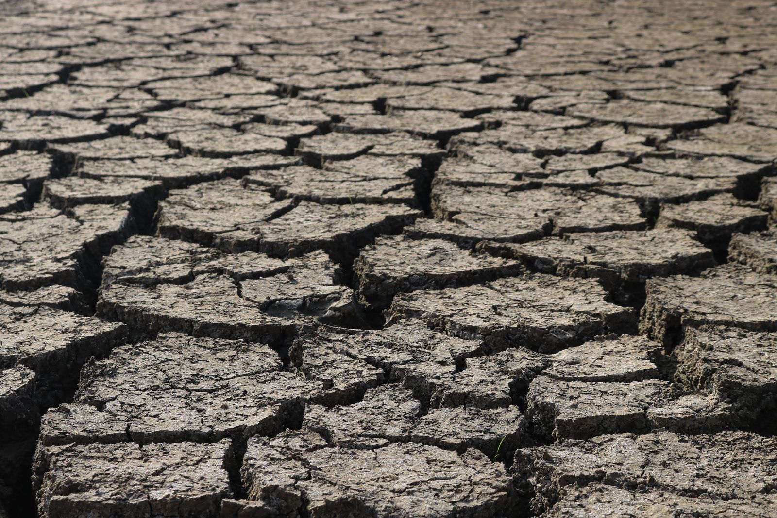 Is the 2026 Super El Niño the Worst Ever? What Is Different for Zimbabwe This Time