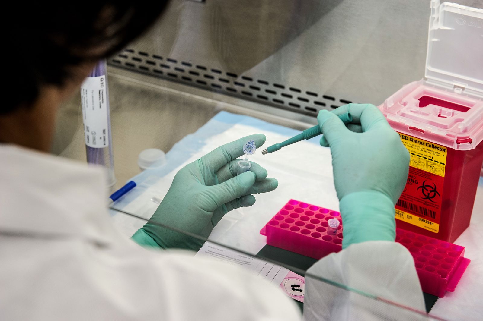 Siberian Lab Death Sparks Plague Fears, but Russia Says Tests Found Nothing