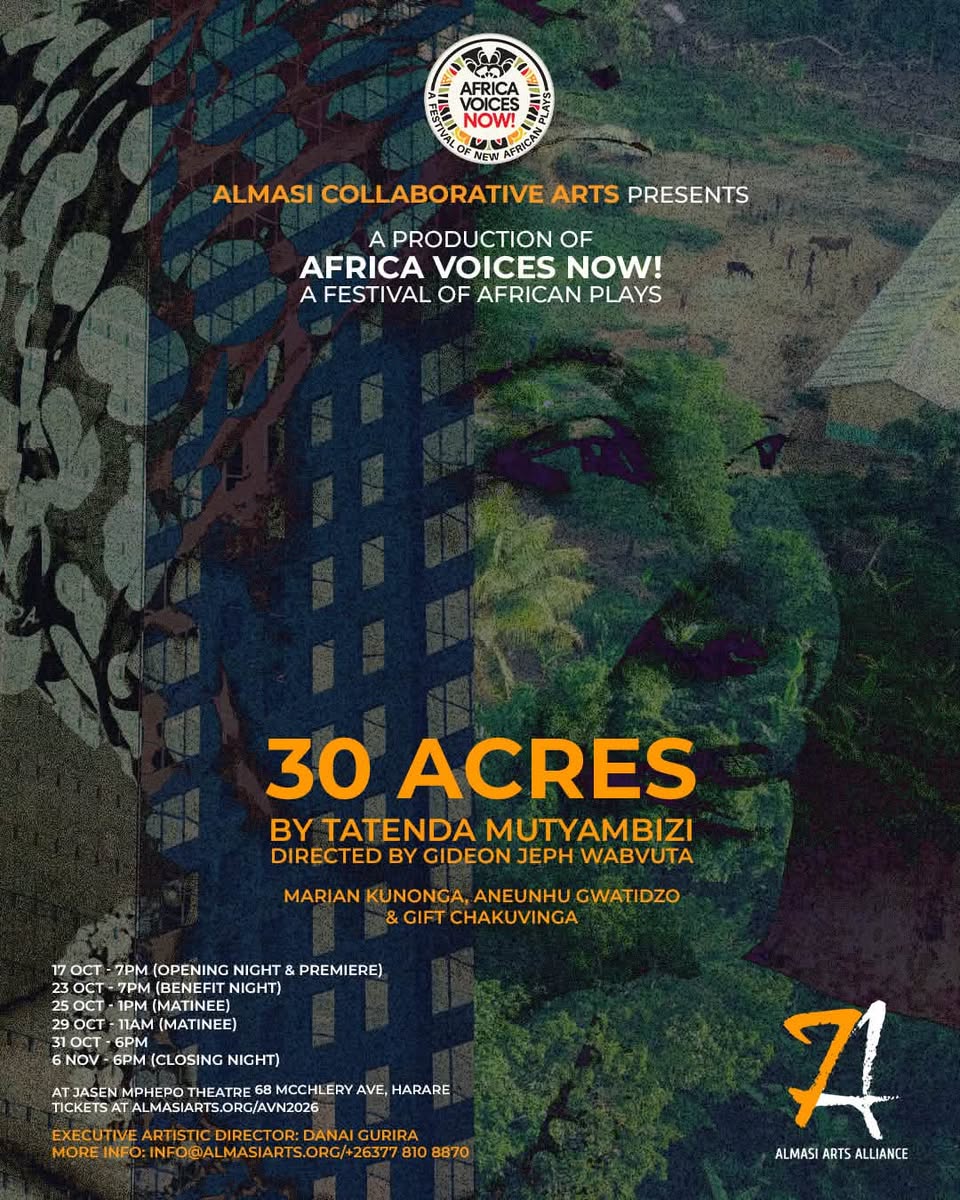 "30 Acres" by Tatenda Mutyambizi: Africa Voices Now! 2026