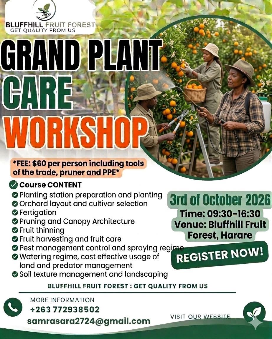 Grand Plant Care Workshop
