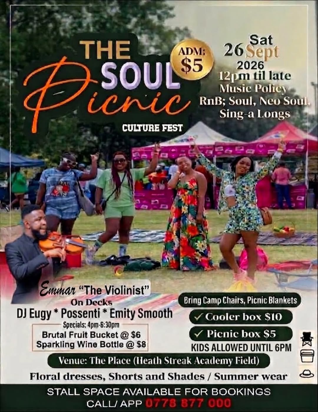 The Soul Picnic: Culture Fest